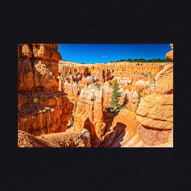 Bryce Canyon National Park by Gestalt Imagery